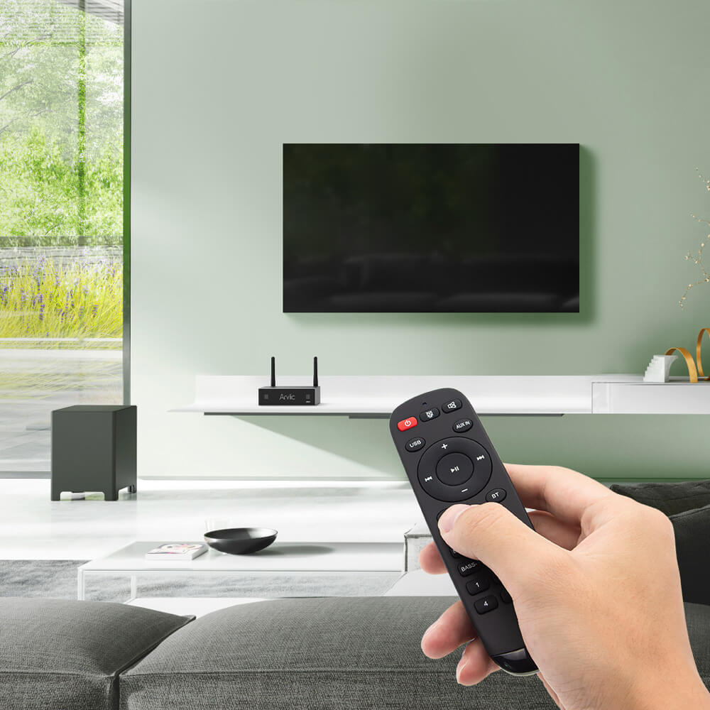 Wireless Stereo Amplifier for TV